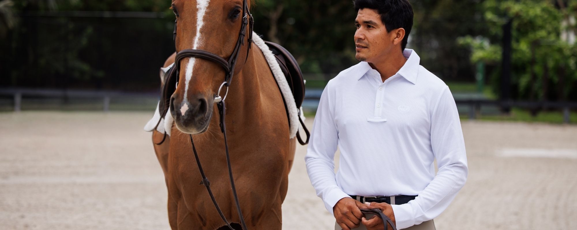 Men's Cambridge Show Shirts