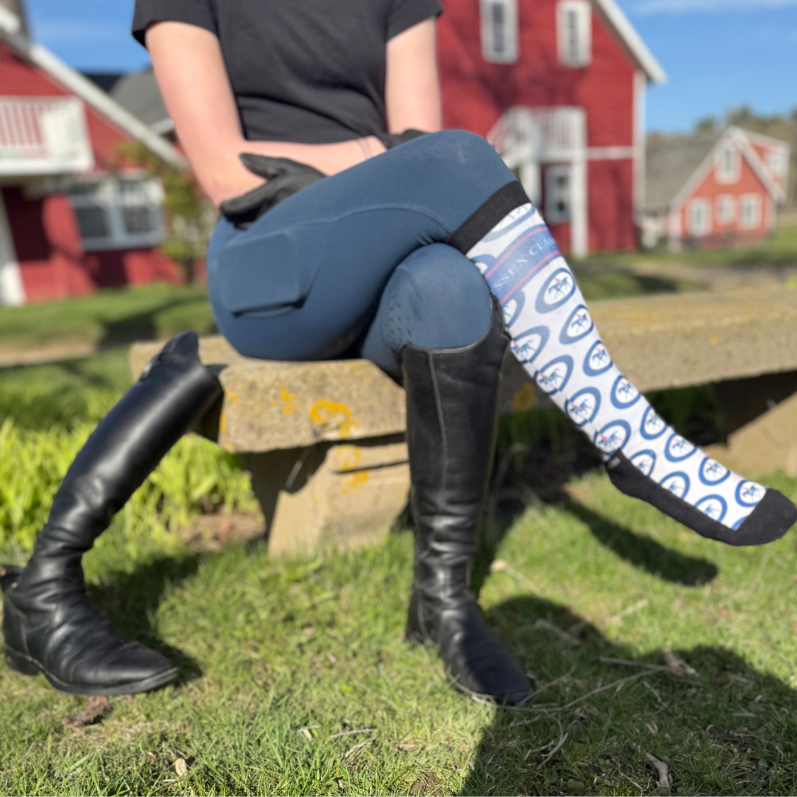 Essex Classics Logo Sock by Dreamers & Schemers