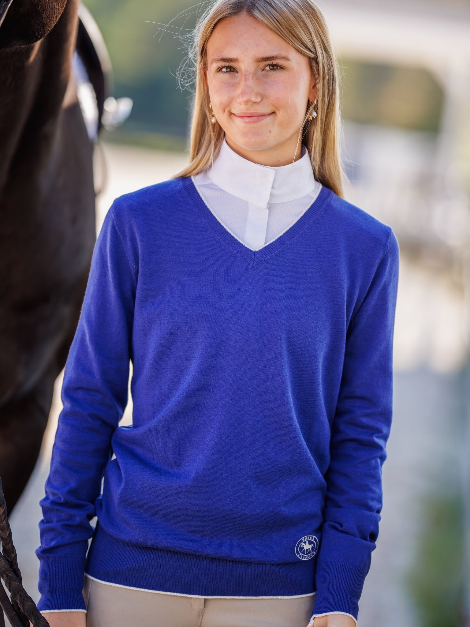 Sapphire with Ivory Trey V-Neck Sweater