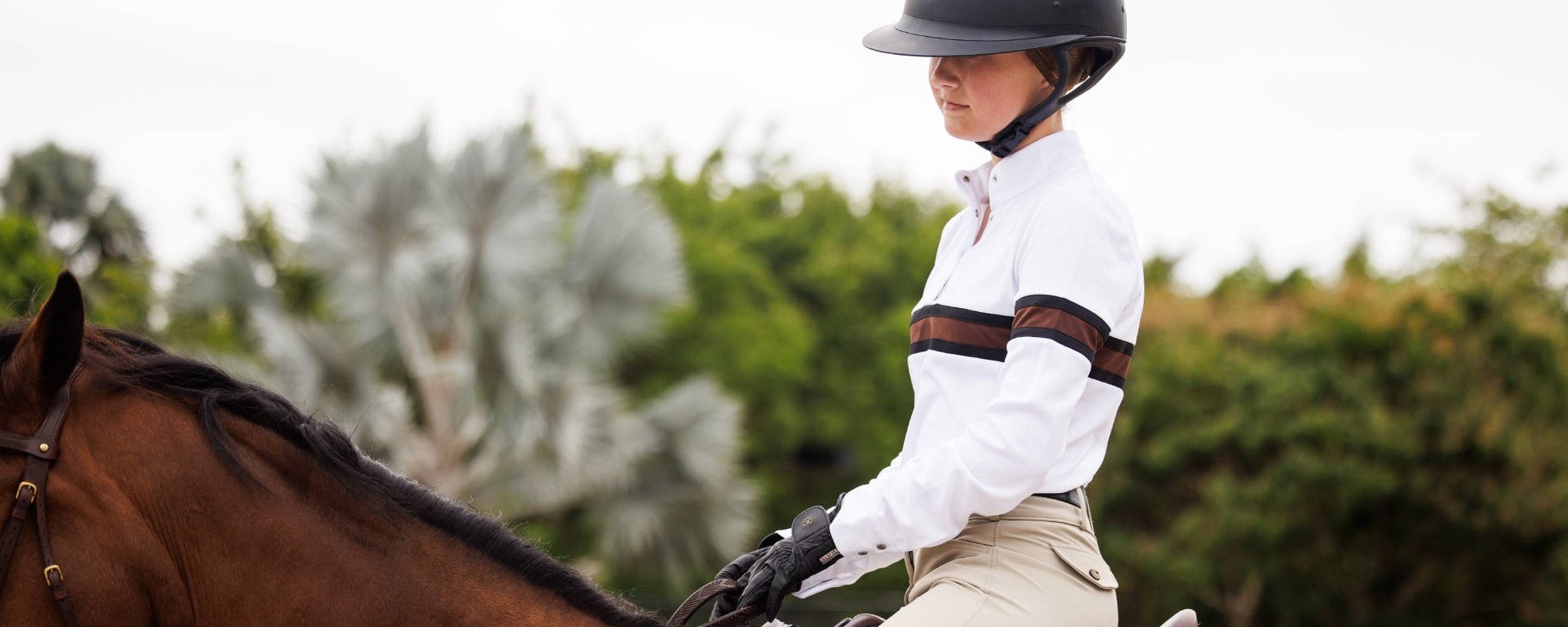Ladies Cambridge Show Shirts