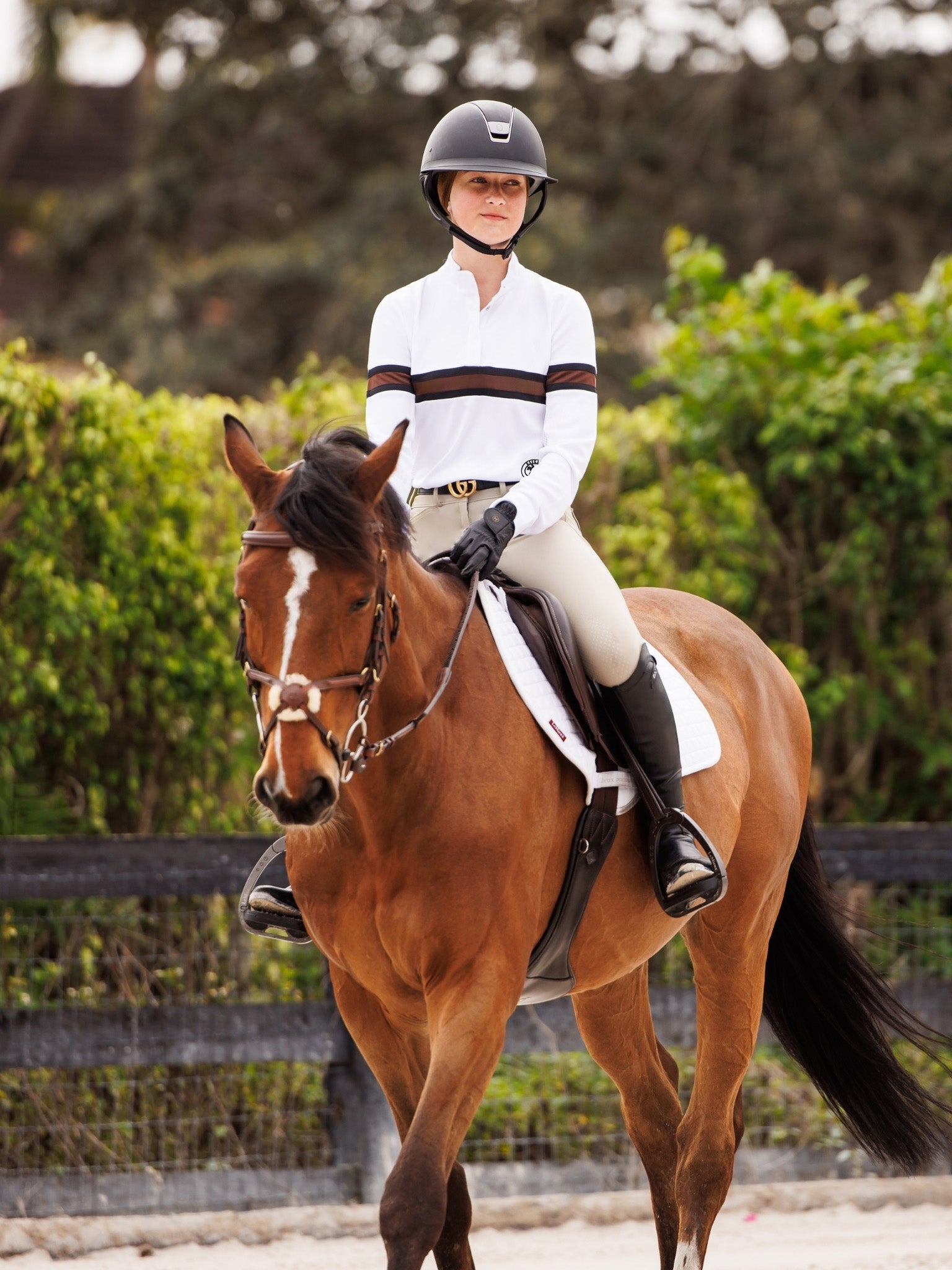 Cambridge Ladies Long Sleeve Show Shirt - White with Black & Chocolate
