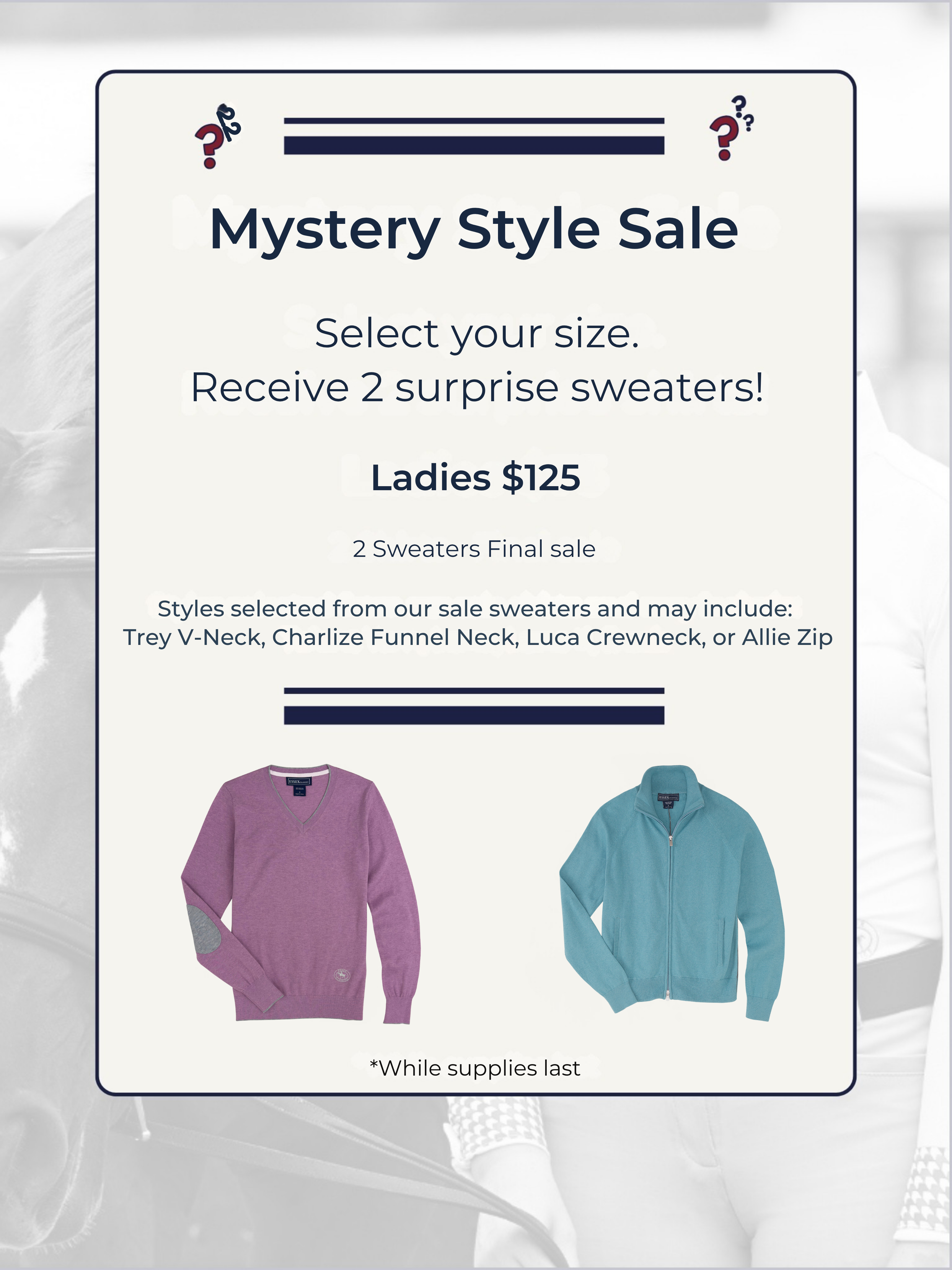 Ladies Sweater Mystery Style Sale