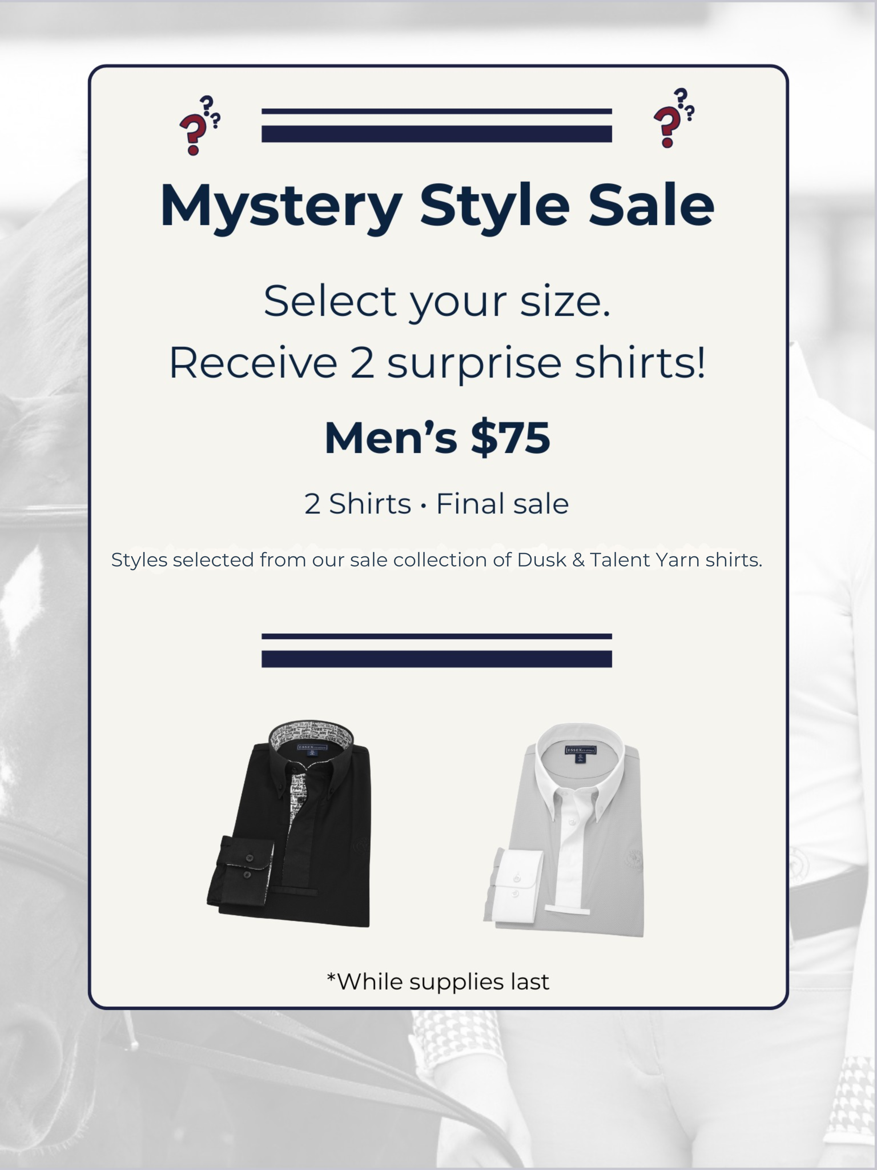 Men's Mystery Style Sale