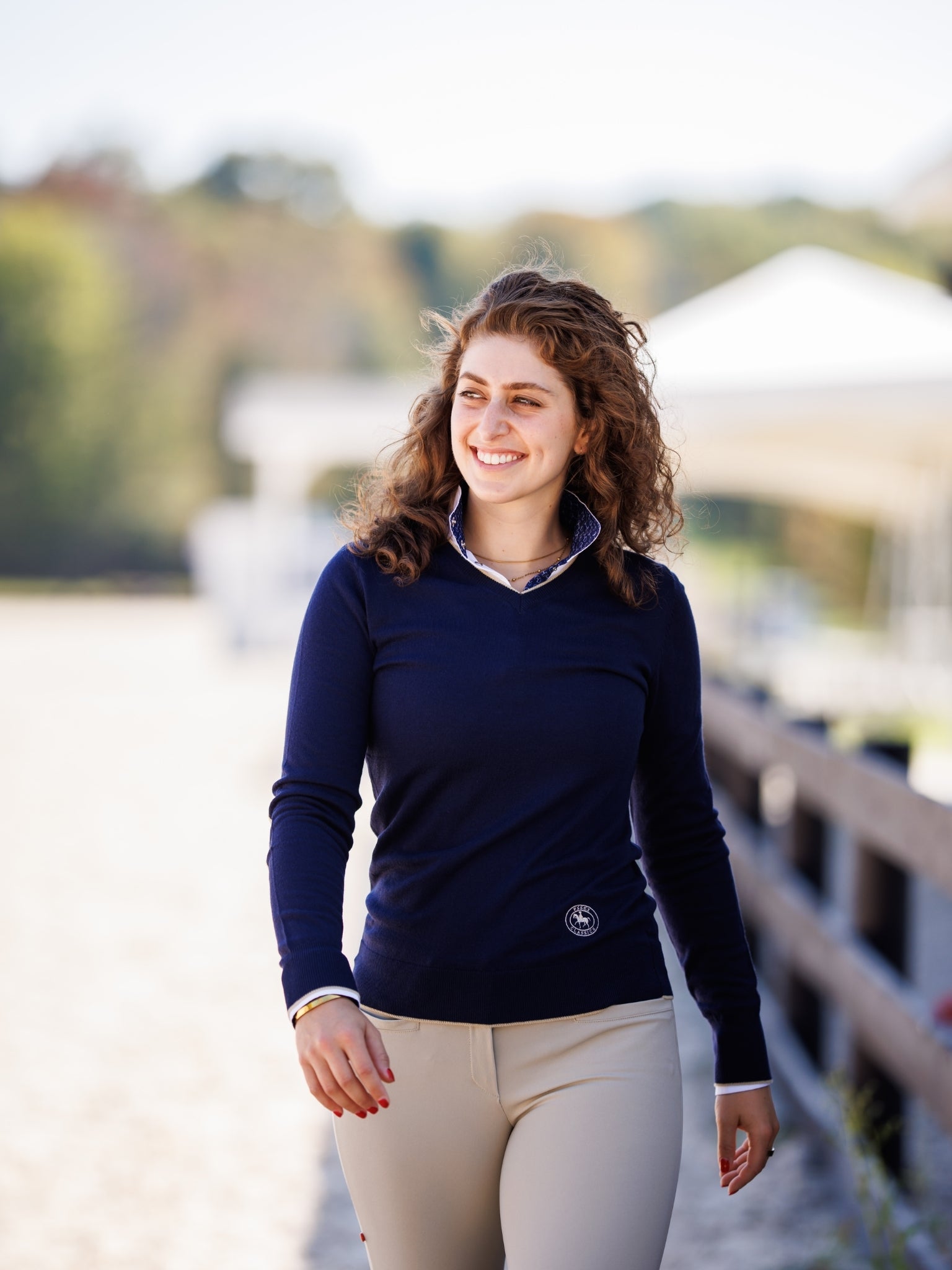 Navy with Tan Trey V-Neck Sweater – Essex Classics