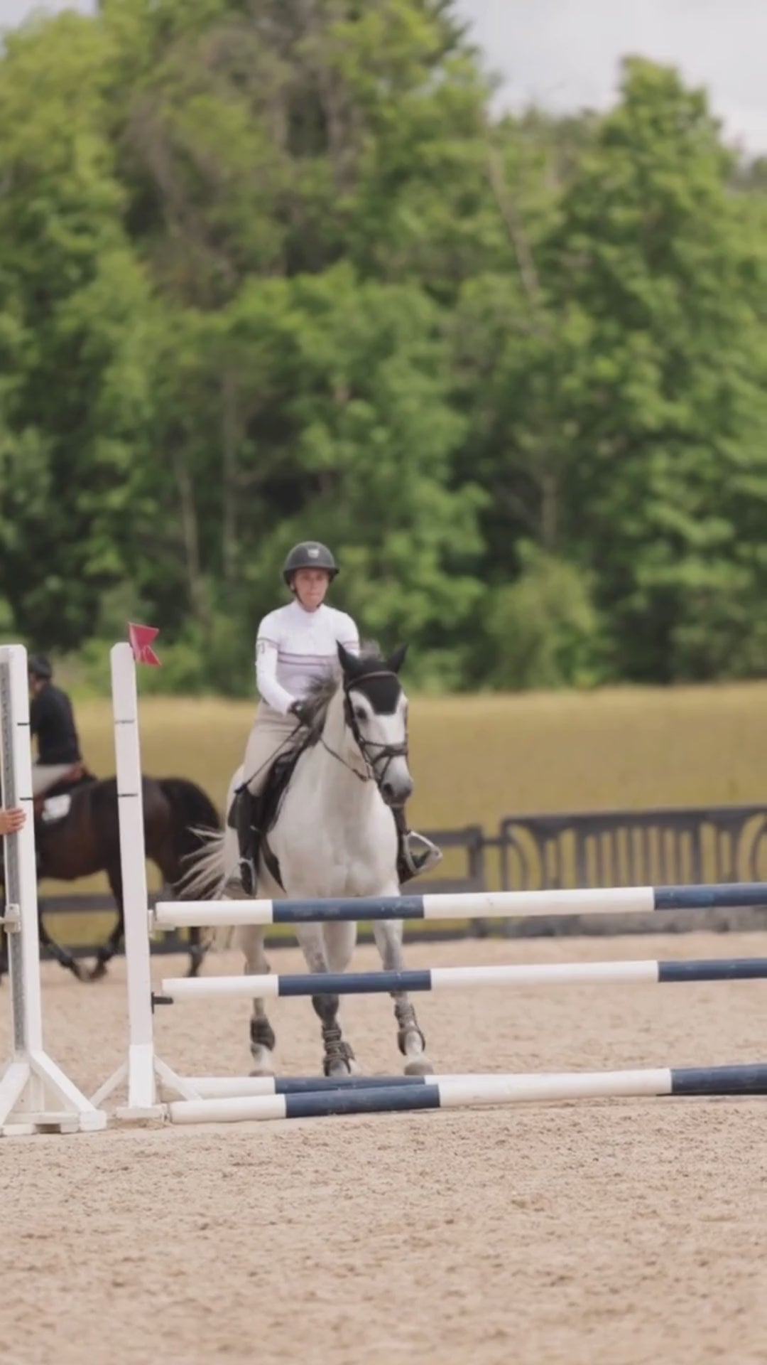 Load video: Cambridge Ladies Long Sleeve Show Shirt - White with Grey &amp; Pink